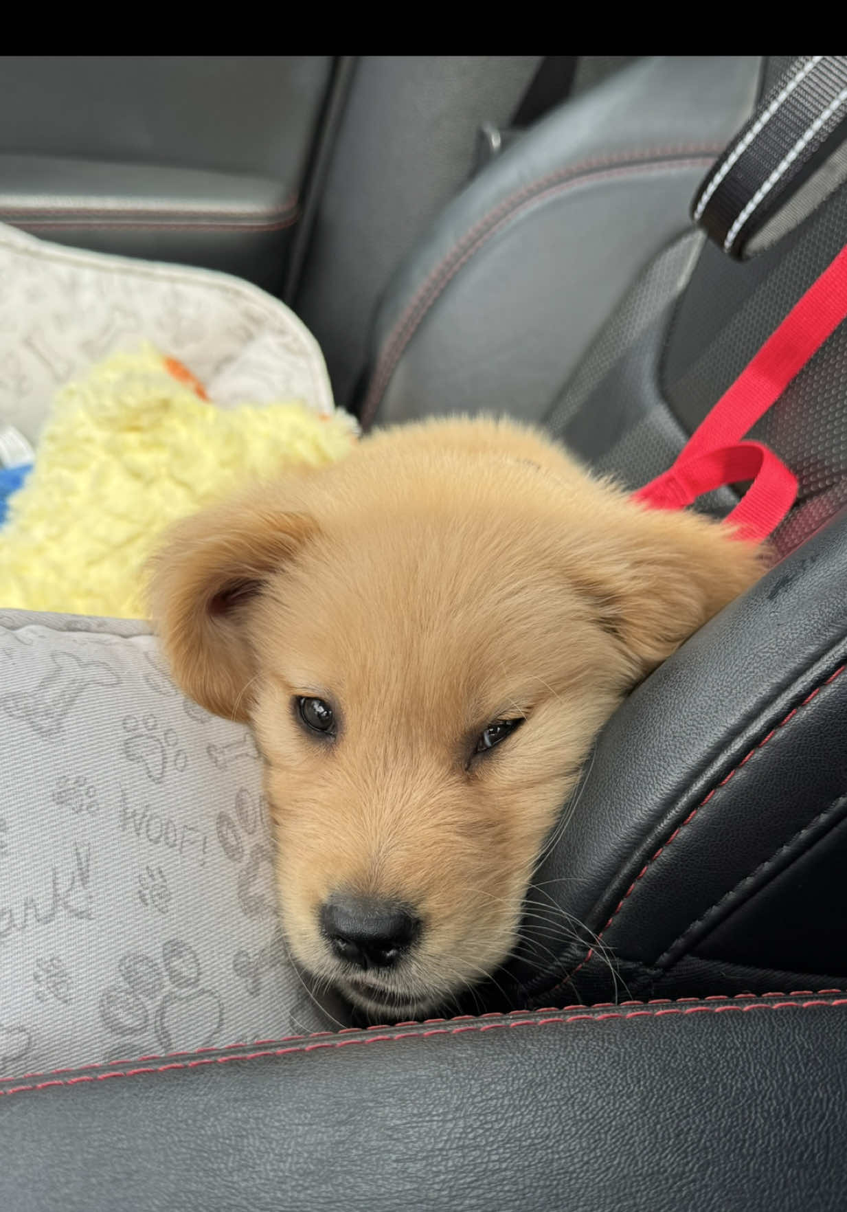 @Teddy🧸