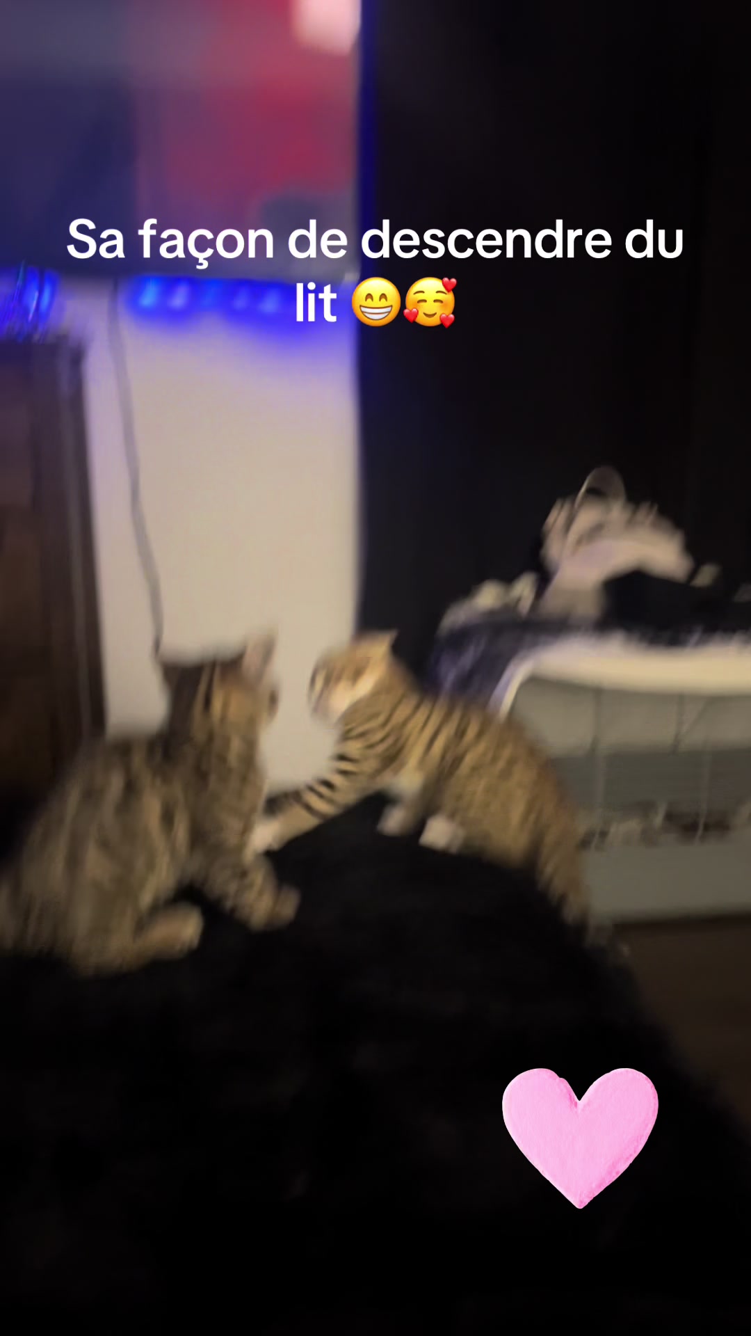 @Linda