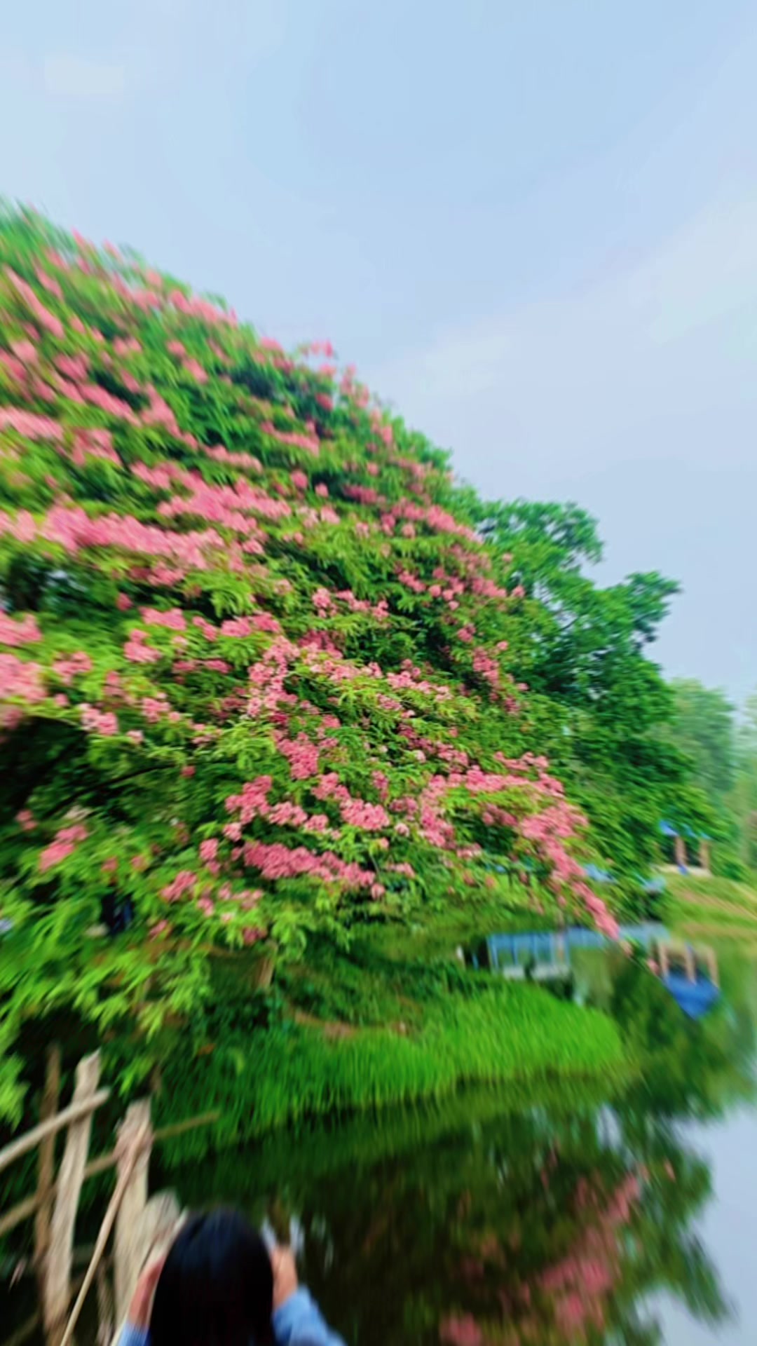 @RAIBAL47