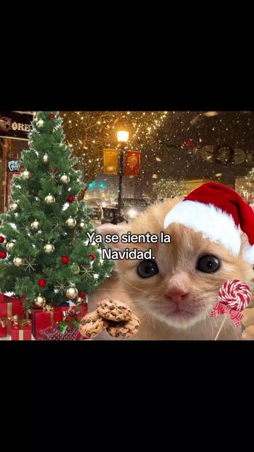 @yojan