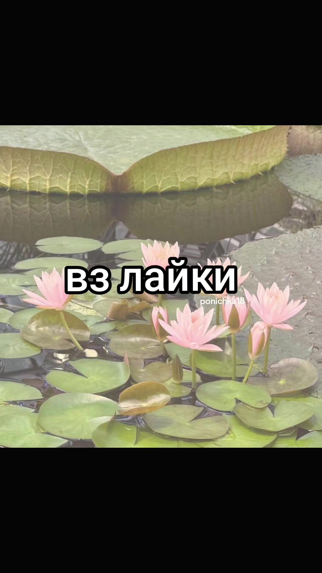 @актив