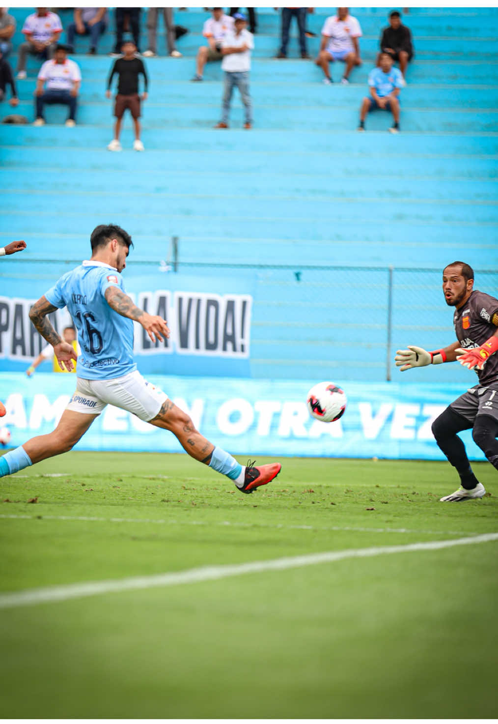 @Liga de Fútbol Profesional