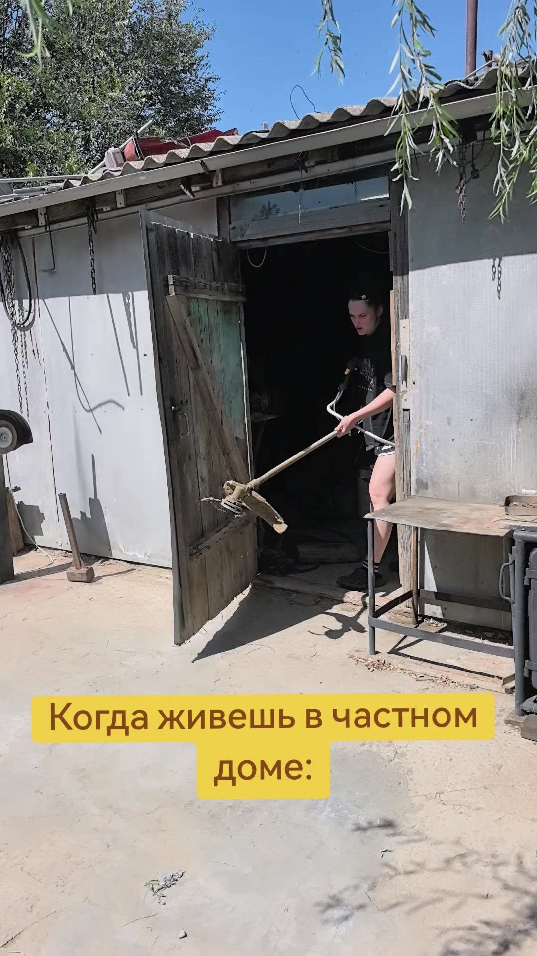 @☼SOLNYSHKO☼