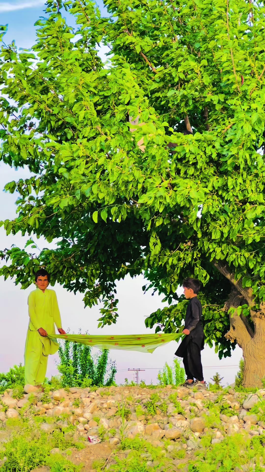 @shahista.sinjawi.0