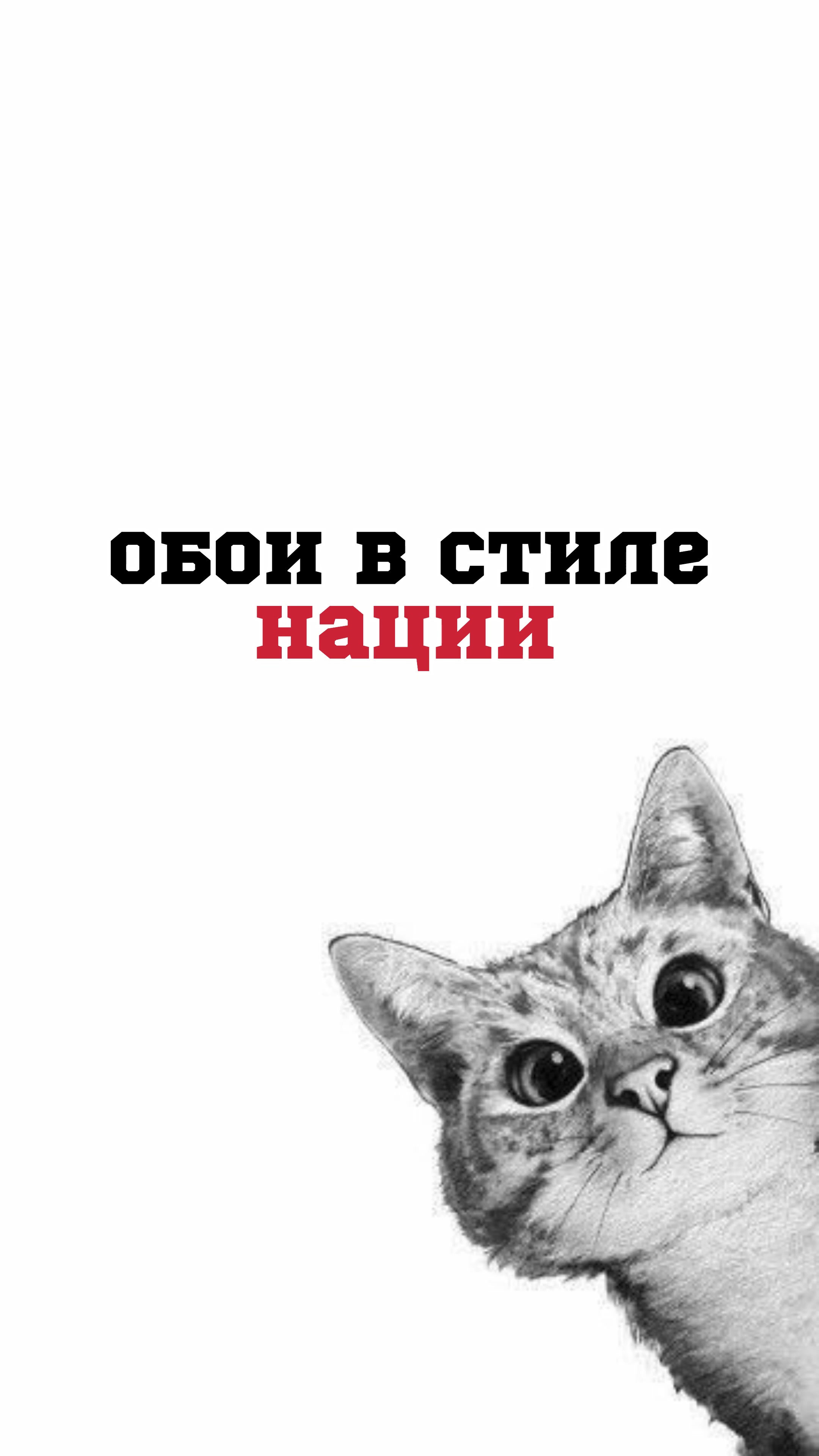 @pablo wallpaper🫦 •Ваш Друг