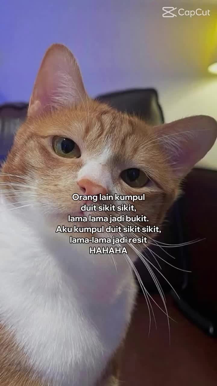 @fariz