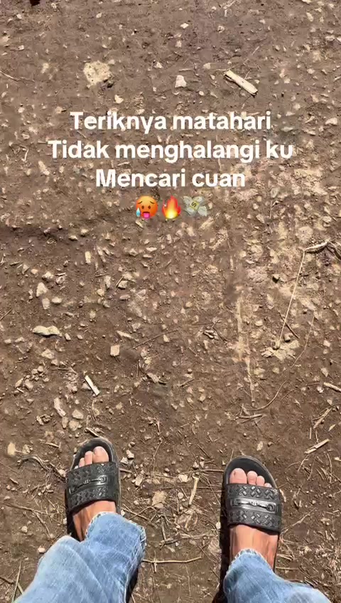 @Penguja🐊