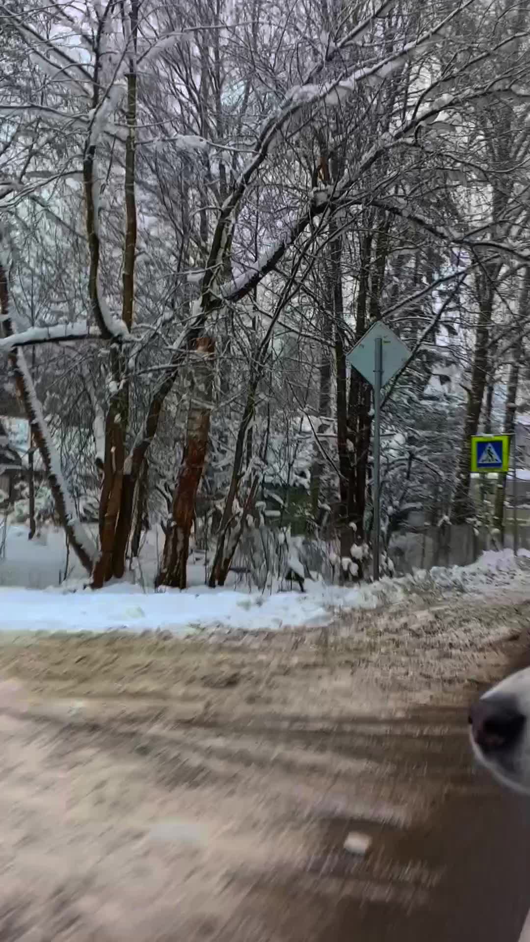@Антон