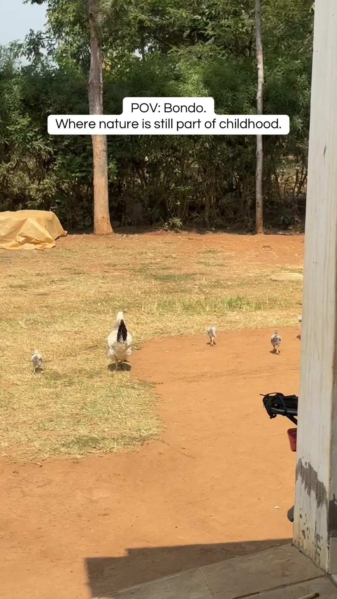 @Boni Mjenzi