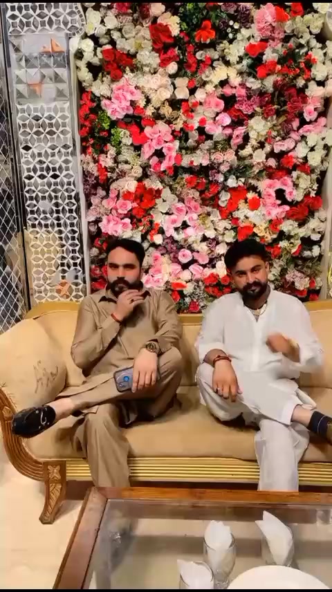 @chamir8733