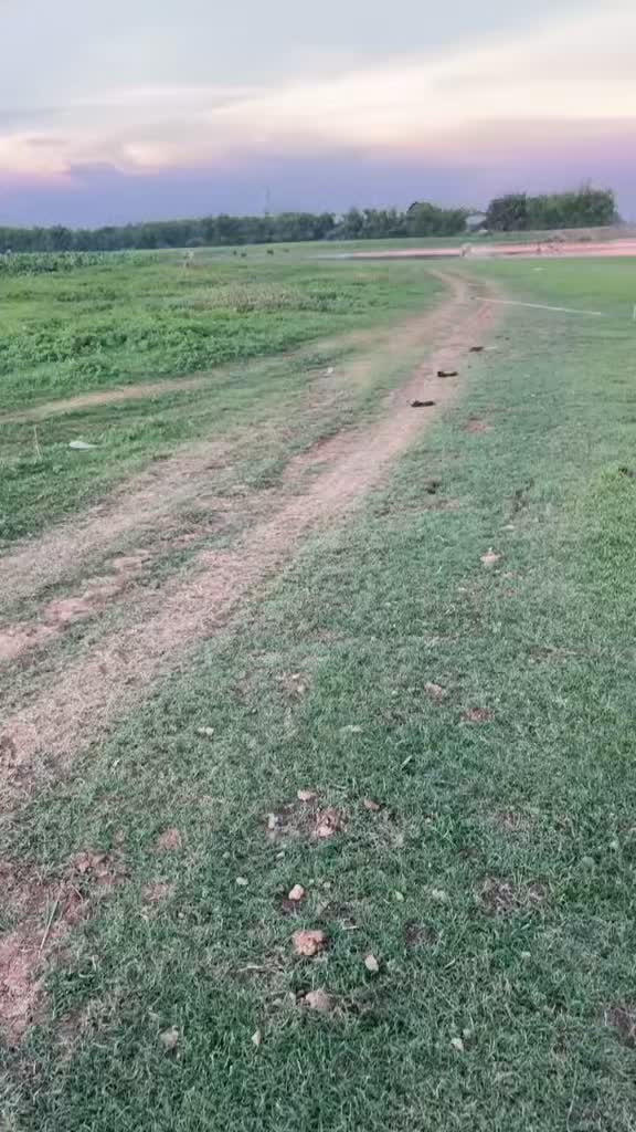 @ពូ រ៉ា