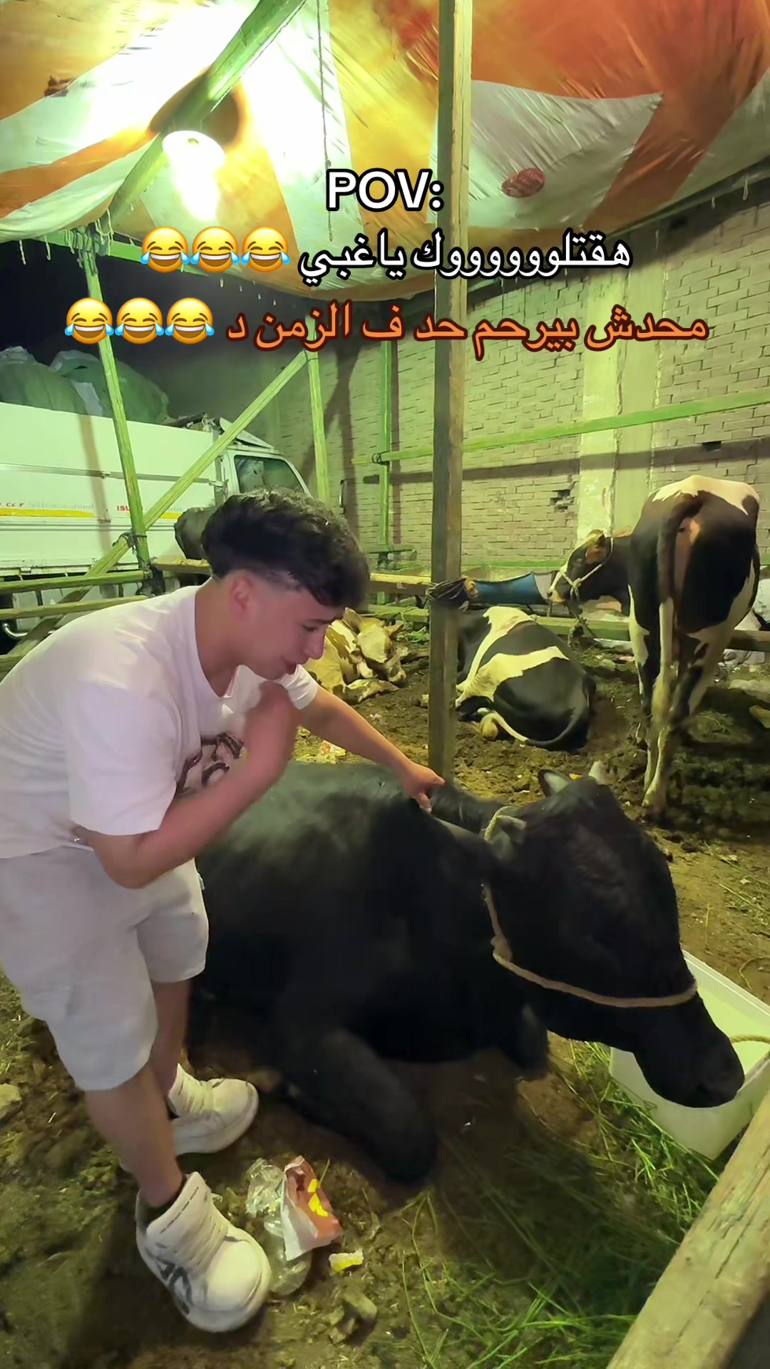 @فارس البرازيلي