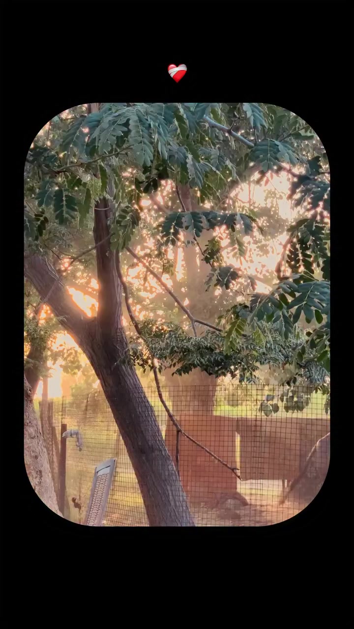 @ਓਹ ਕਹਿੰਦਾ 🌾