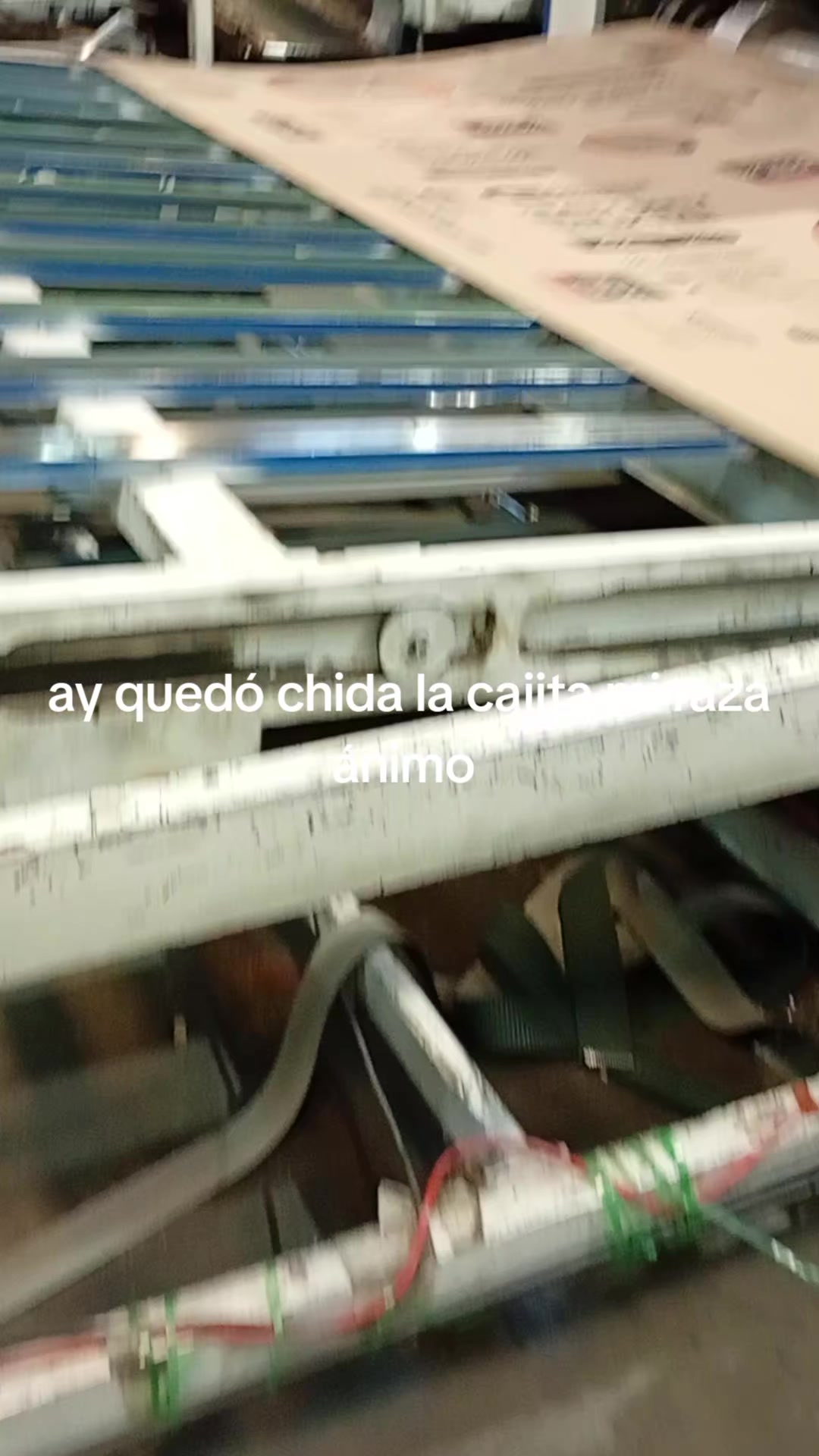 @Adrian flores