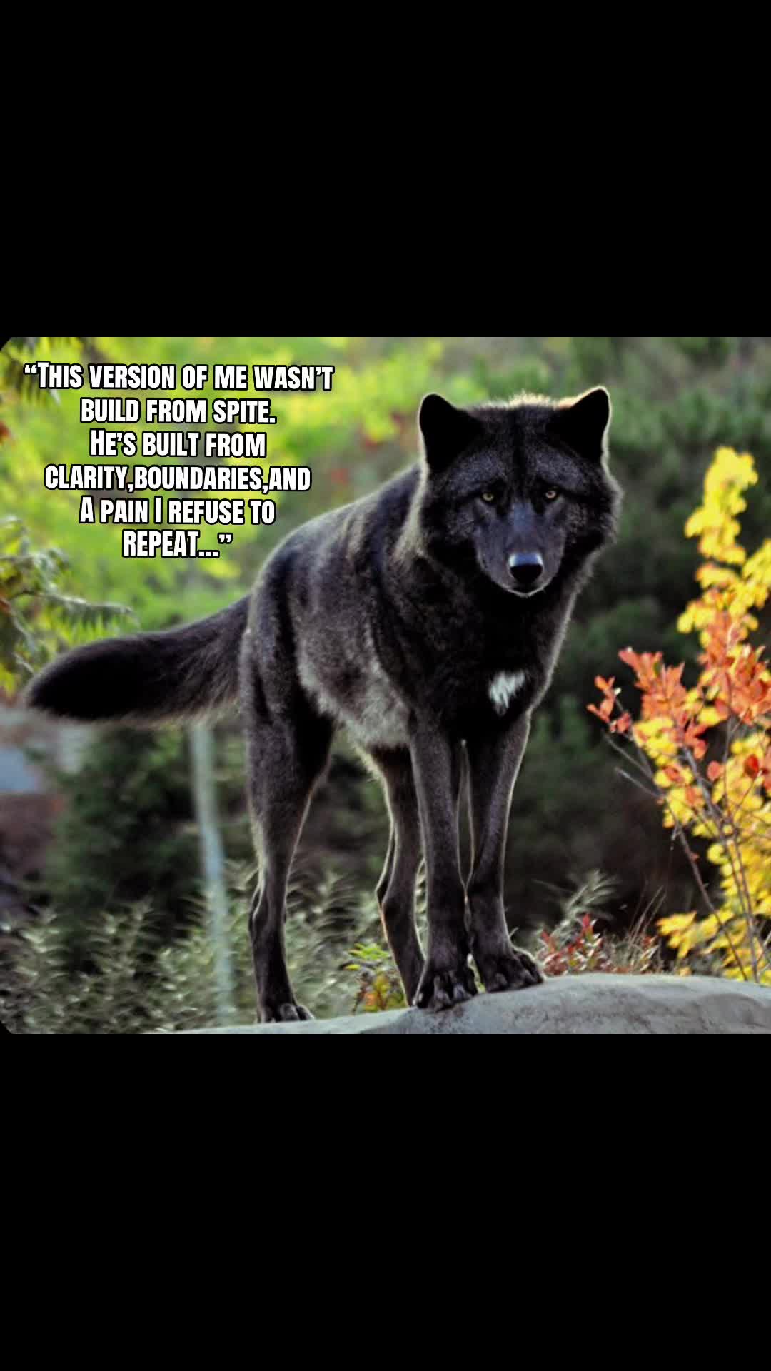 @🪬Conscious_LoneWolf🐺