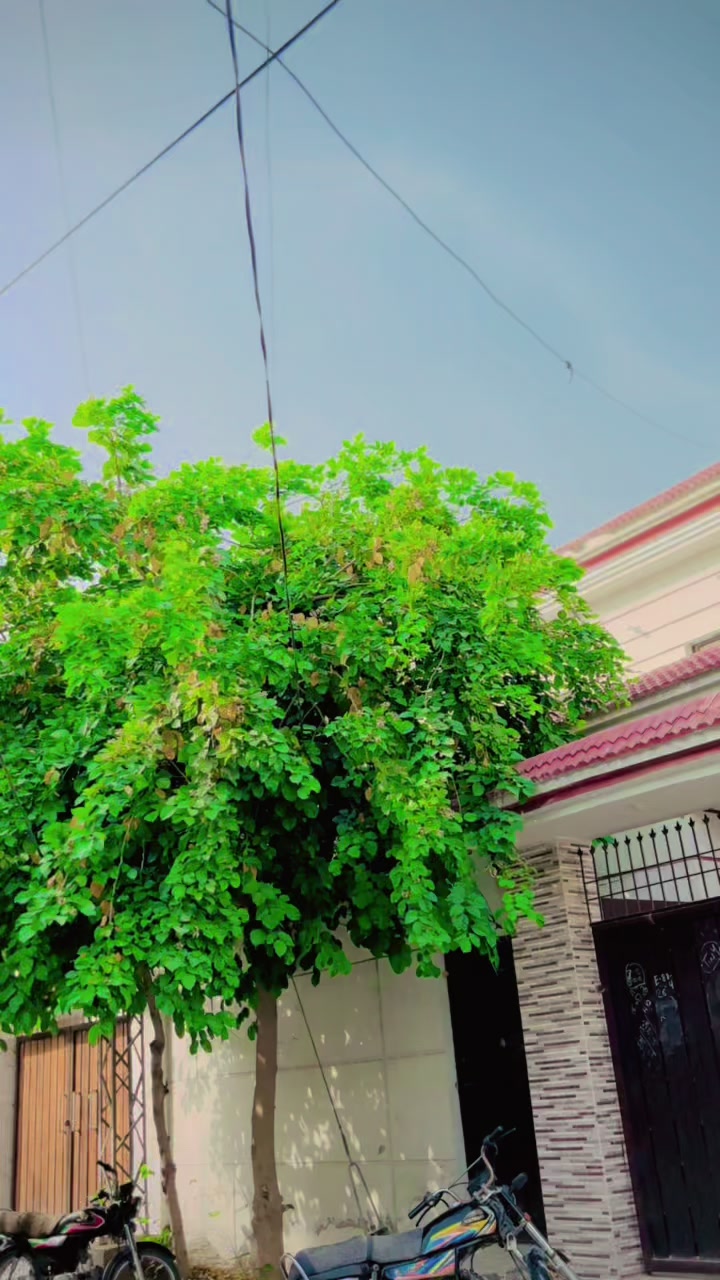 @😎😎Soofi🔥 Sahab😎🥰