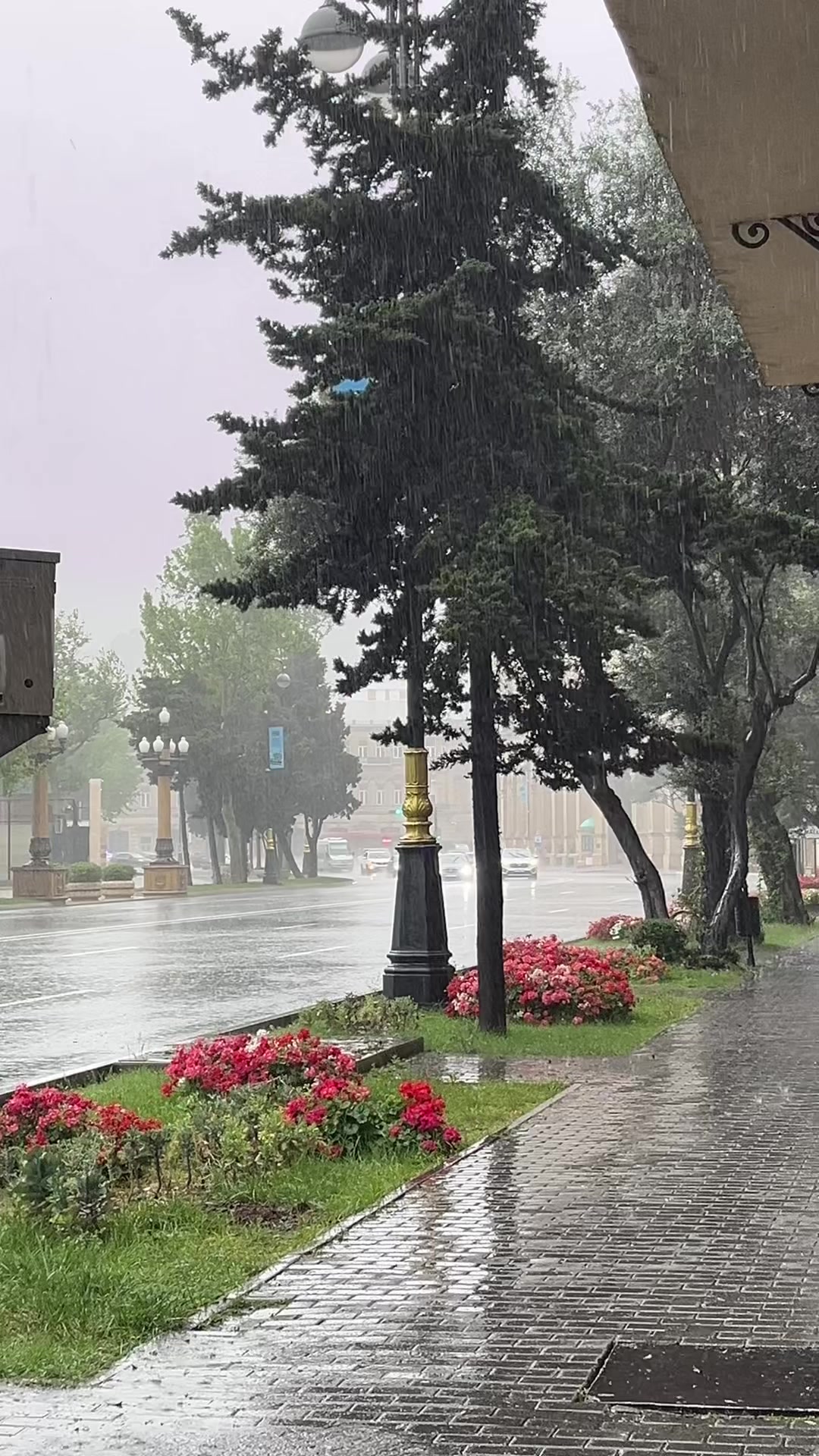 @travelsbaku