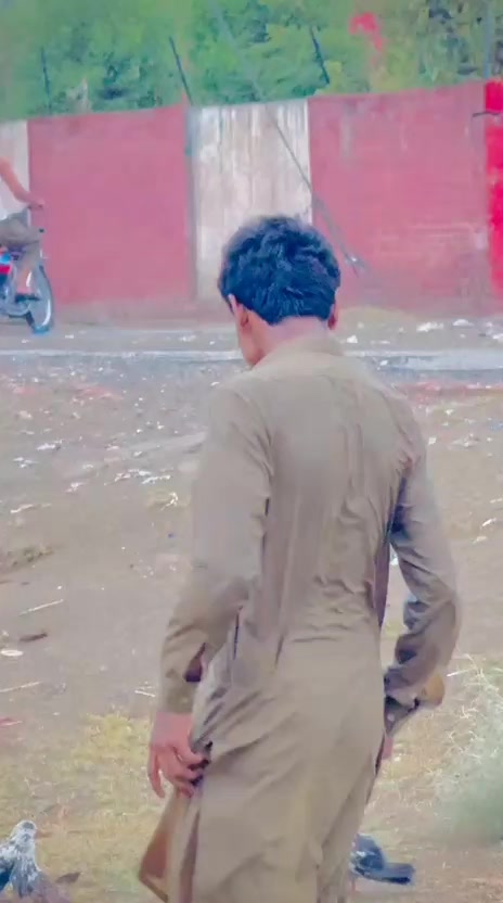 @عدیل رحمن لیہ وال کبوتر باز