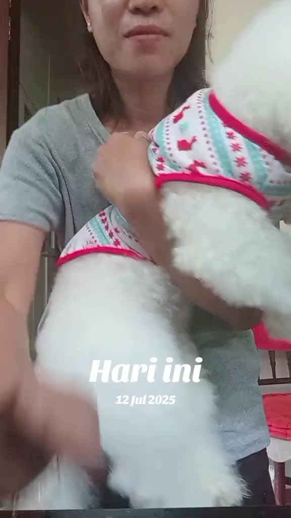 @renireni0971