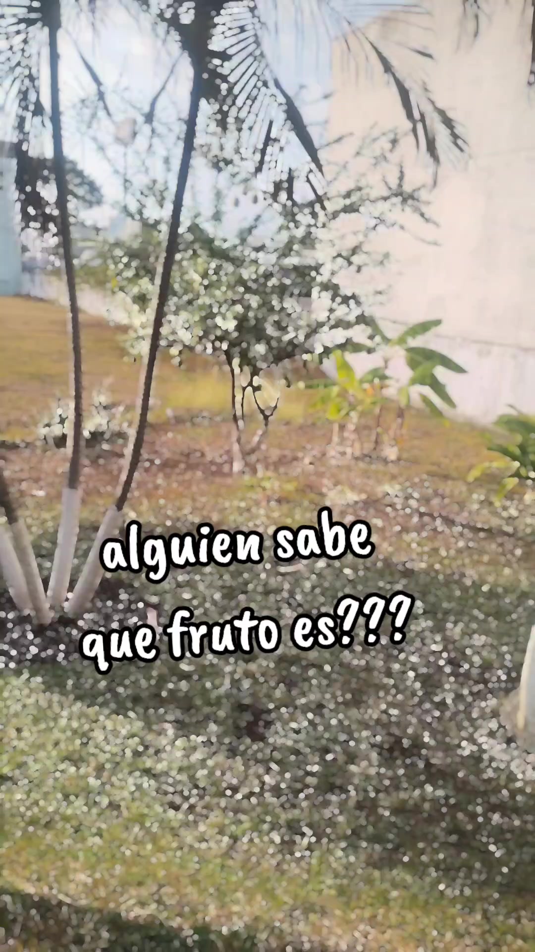 @Sayuri Gómez