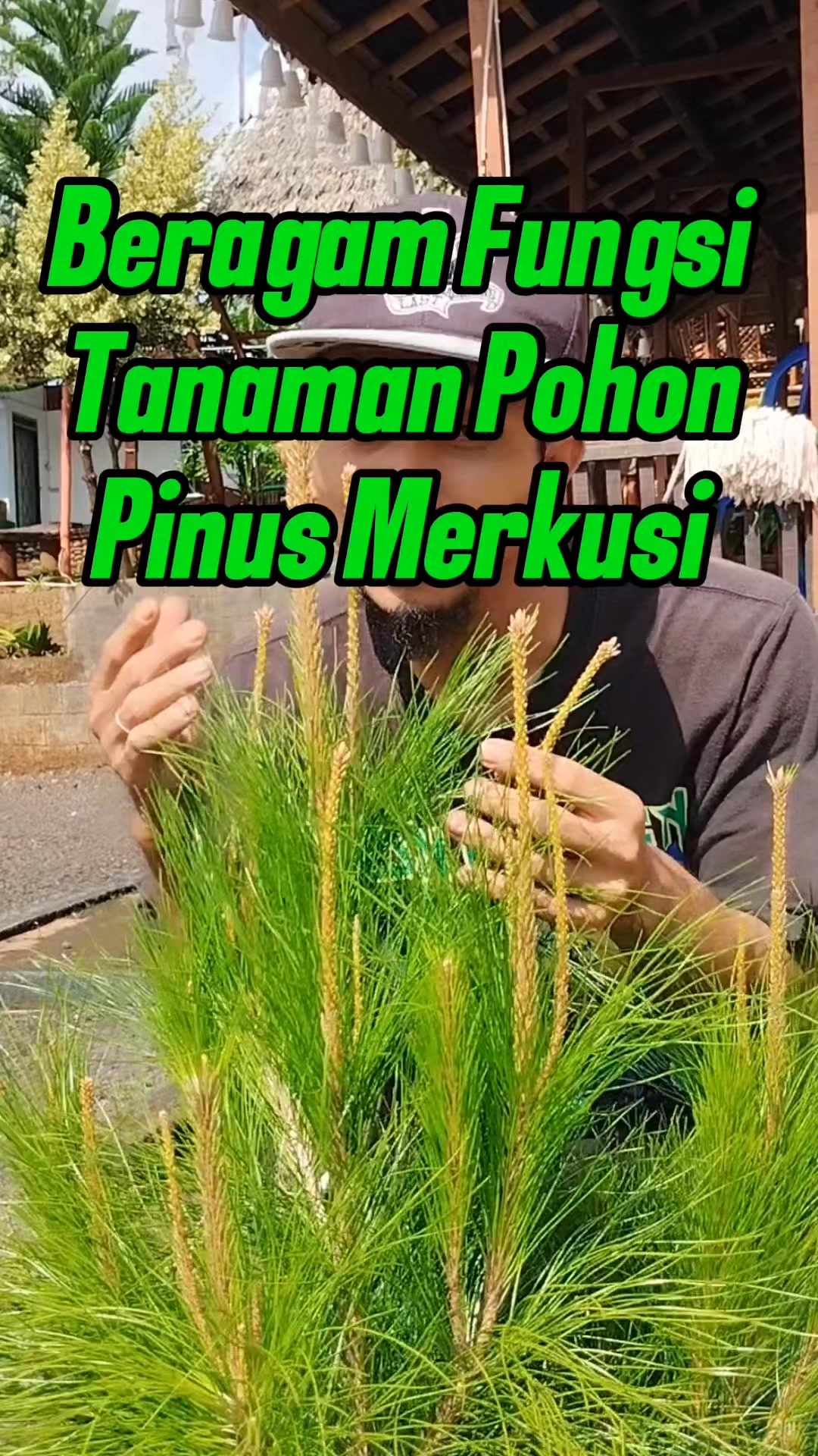 @Bukit Farming