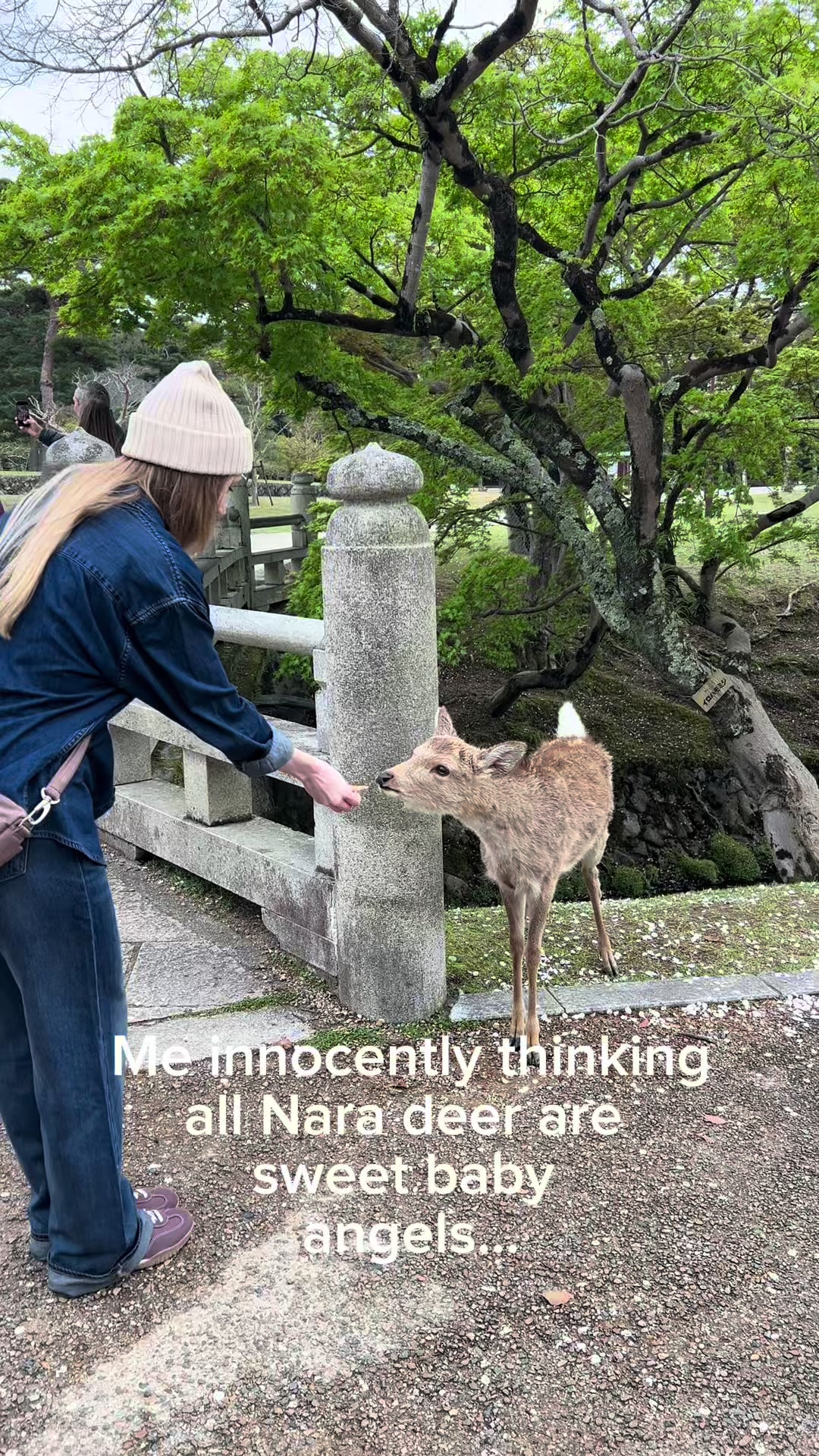 @Dana Salazar