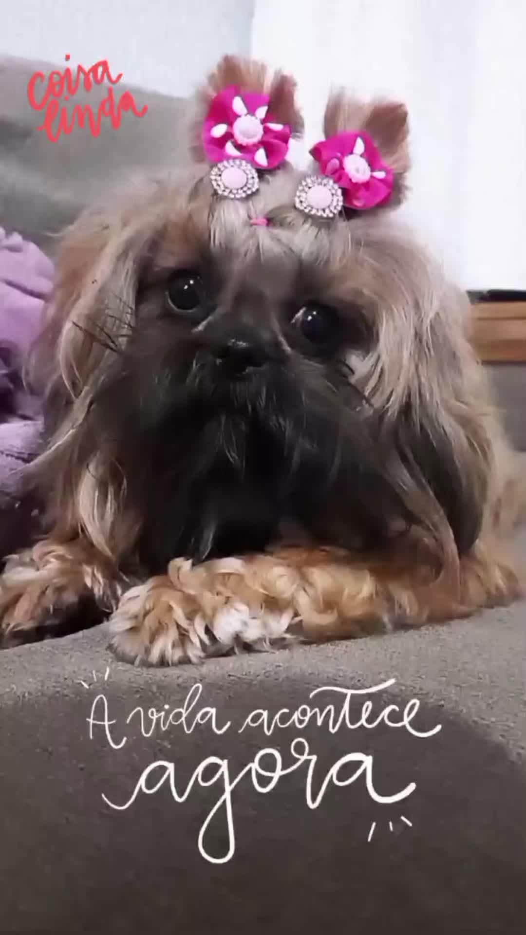 @Rafaela Rolin de Moura
