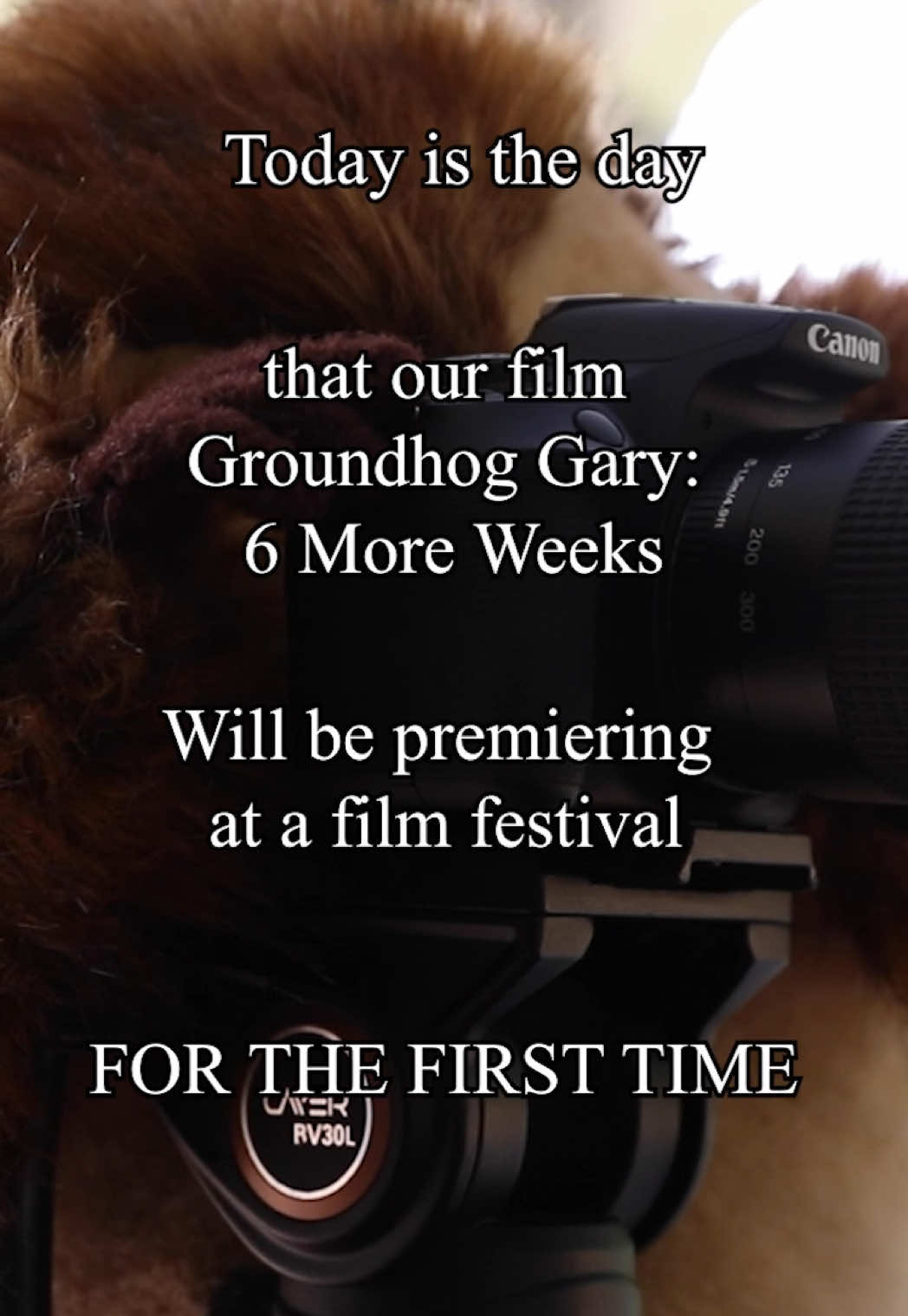 @Fresh Films