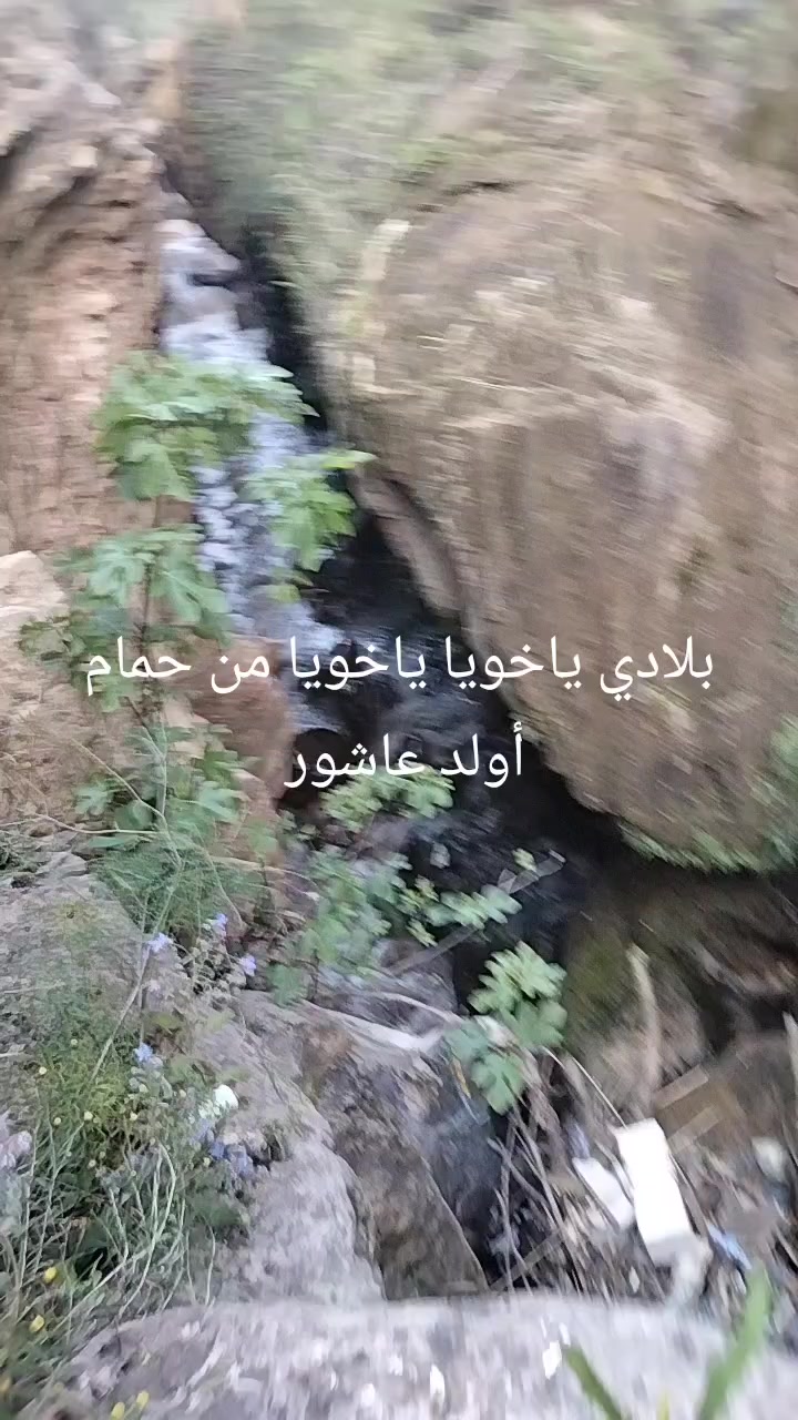 @Zaki Nounou