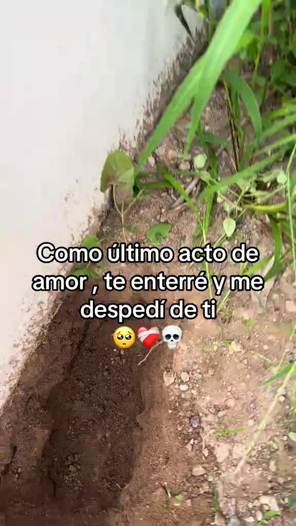 @brujamayor20262