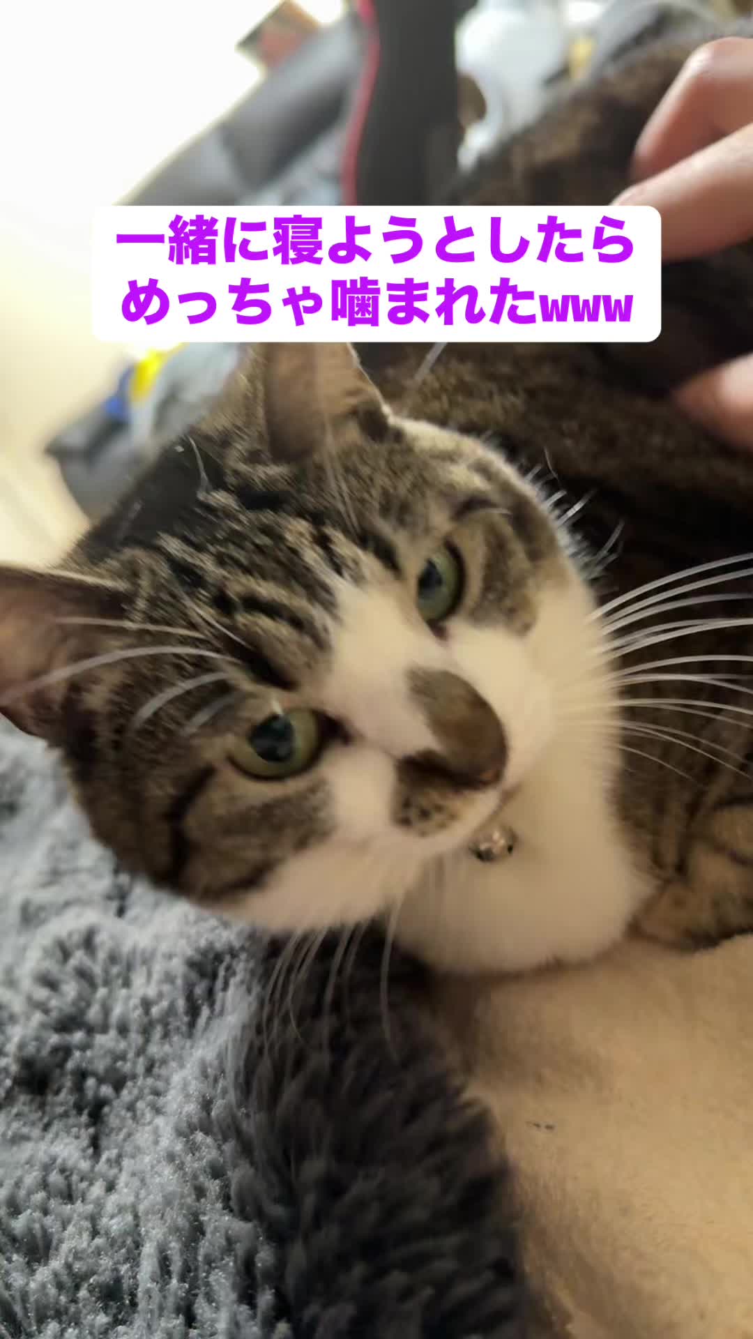 @ใจใใ๐๐ค๐3/28๐