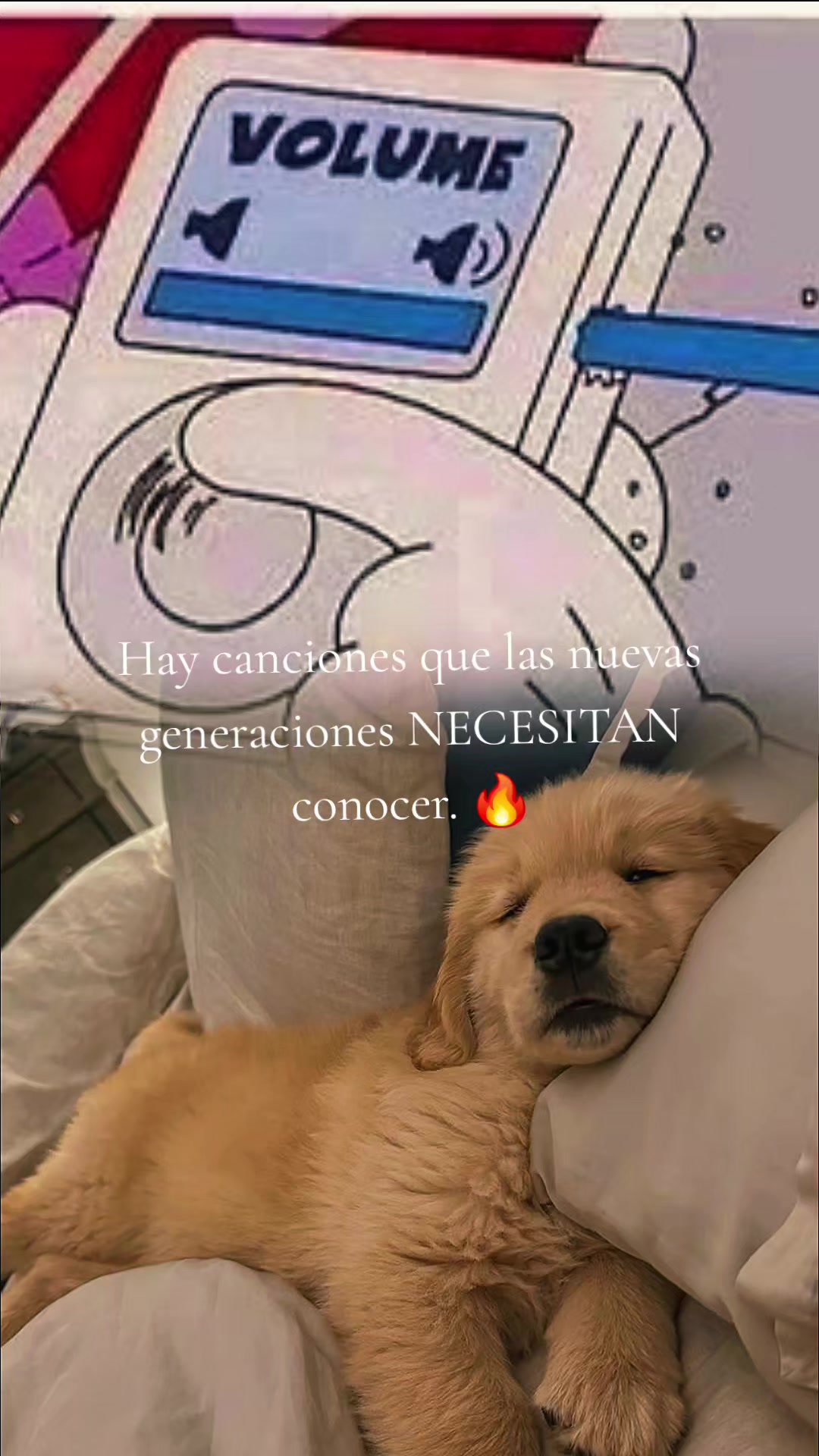 @Angel C.53