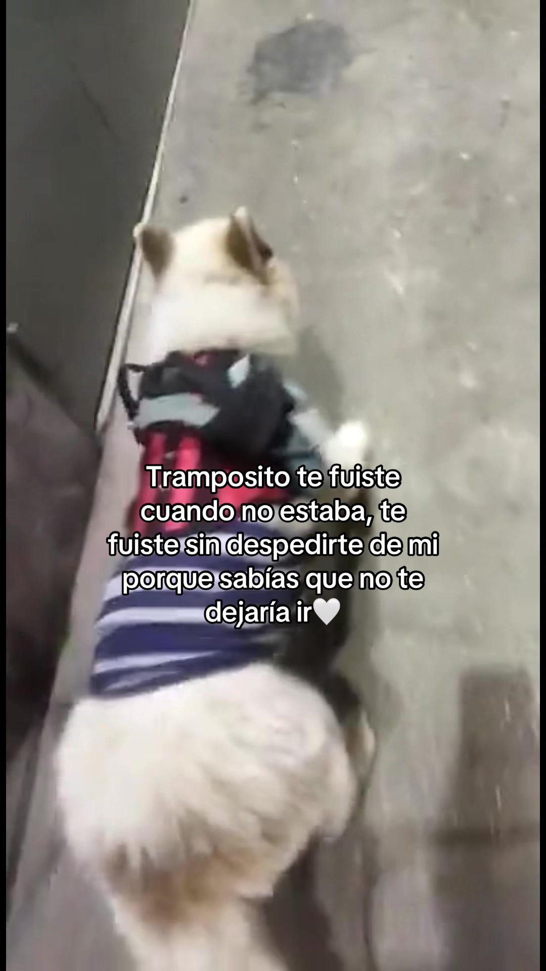 @memily