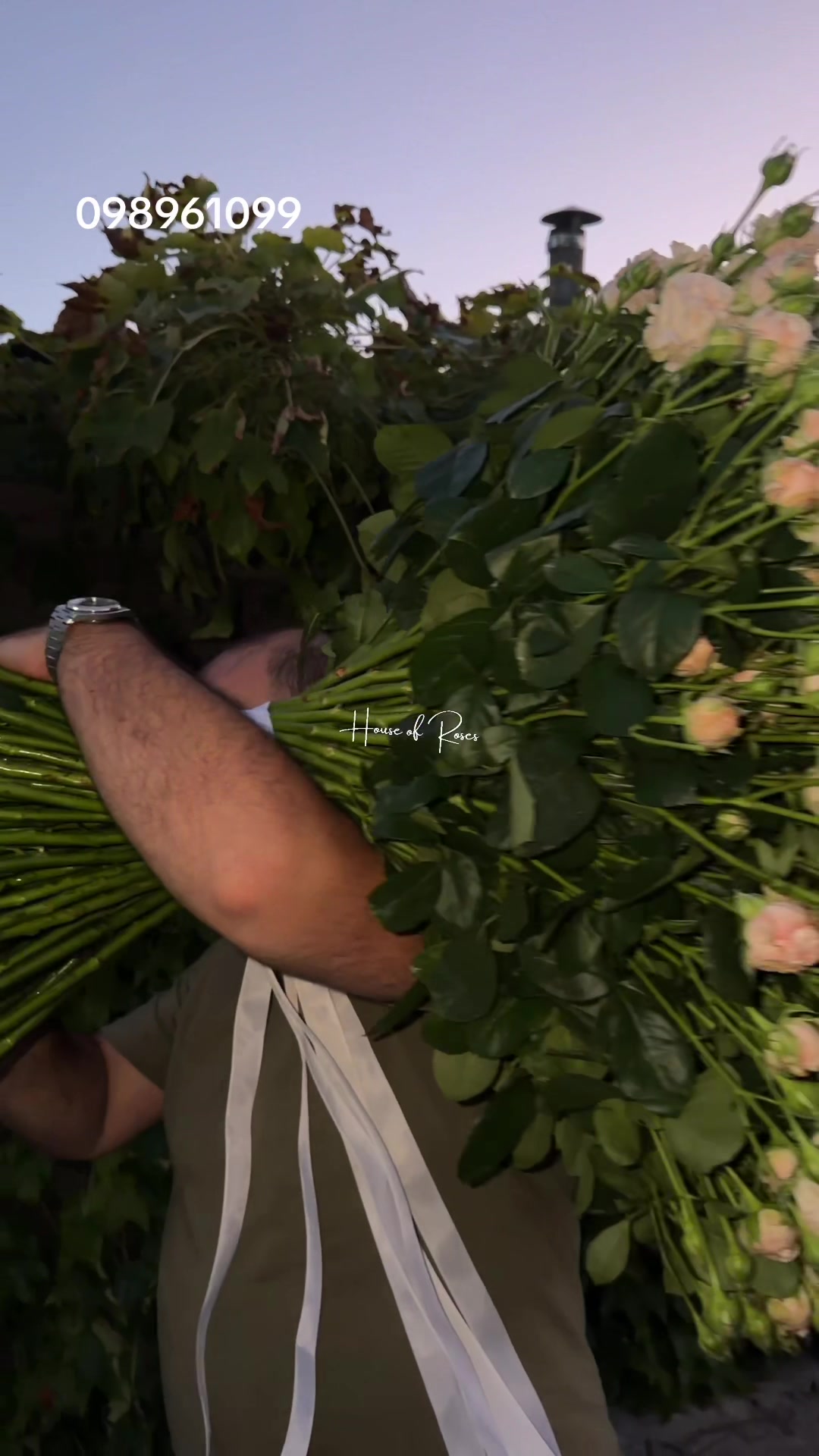 @Թարմ Վարդեր 🌹