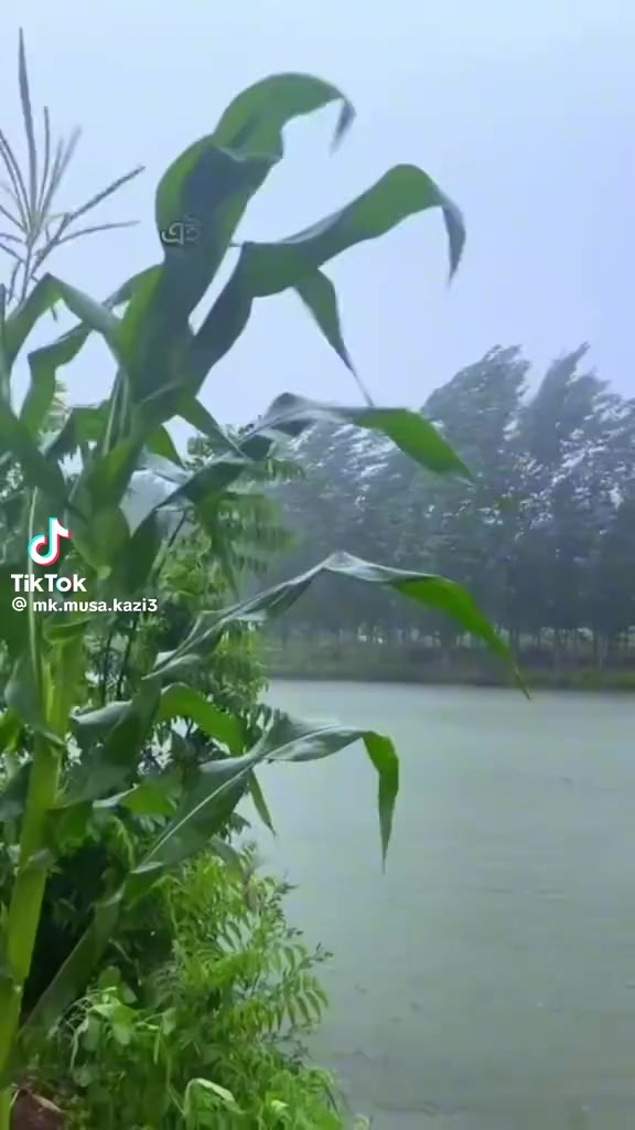 @মোঃ হোসেন রায়পুরা নরসিংদী ঢাকা