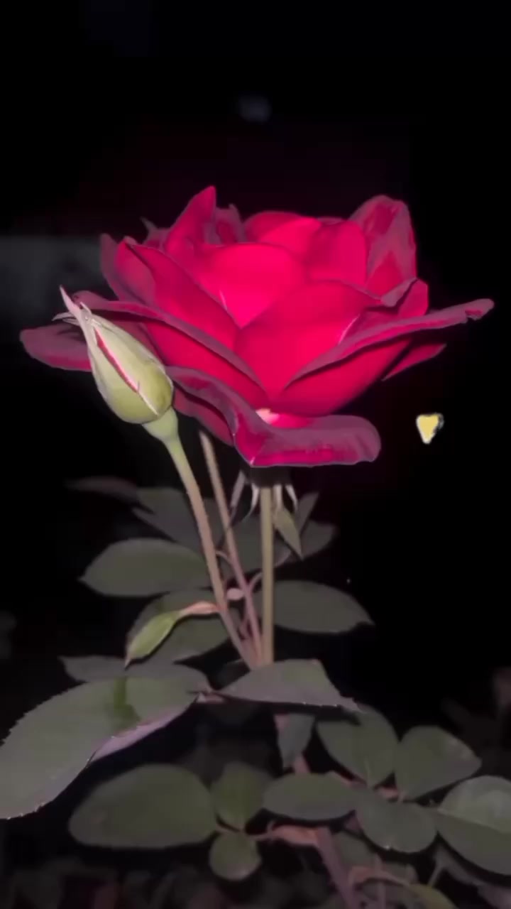 @baby ❤️❤️❤️