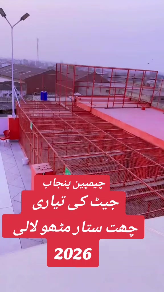 @🕊️ ملک دانیال 4❤️