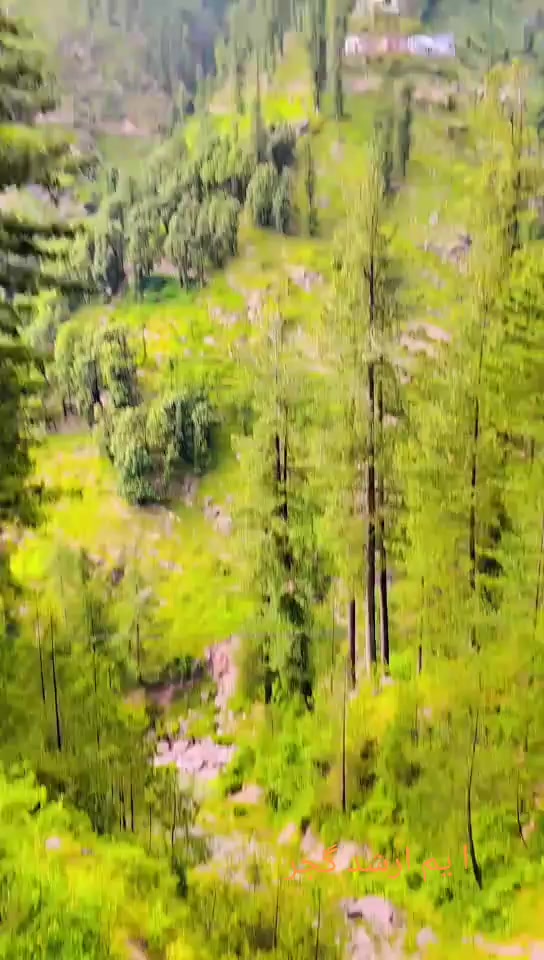 @M,Arshad kashmiri