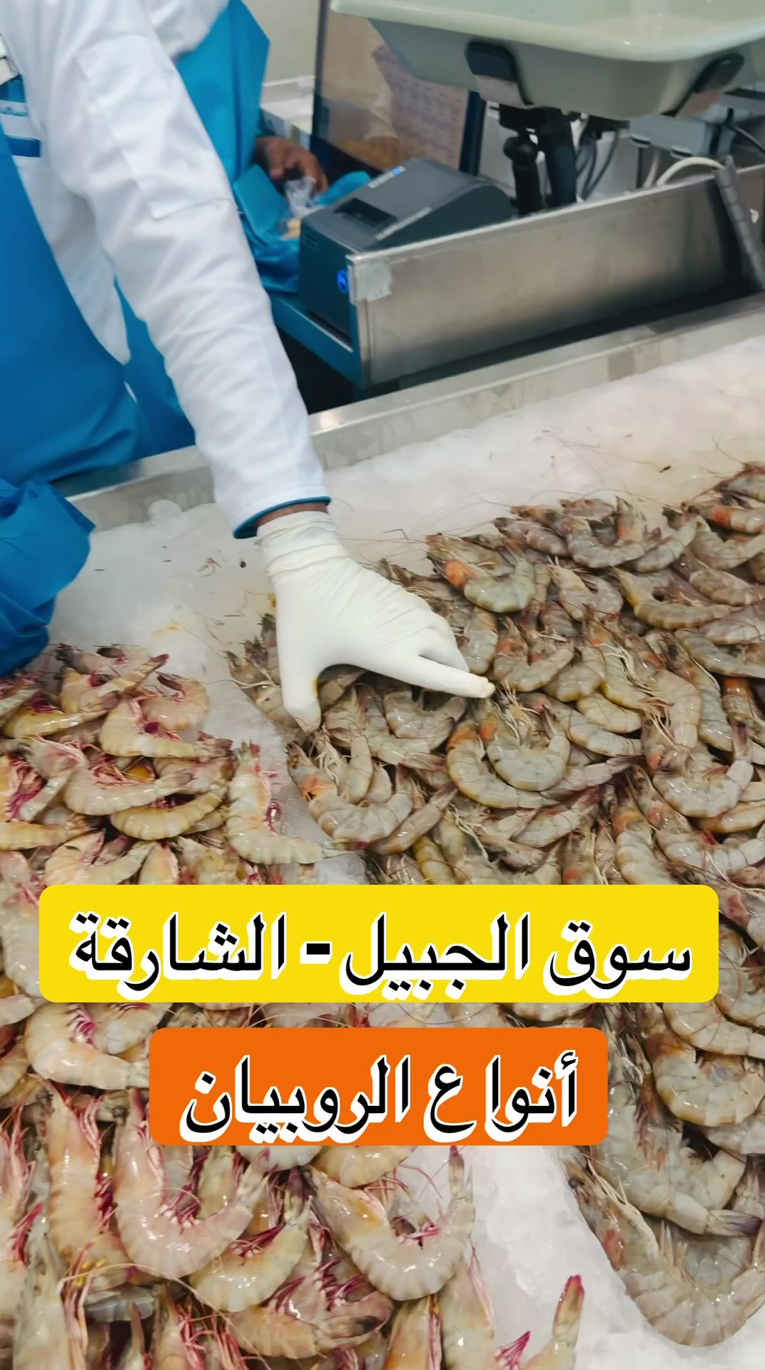 @سعيد صدّيقي