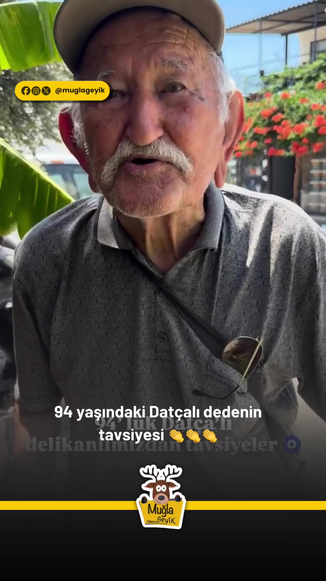 @Muğla Geyik
