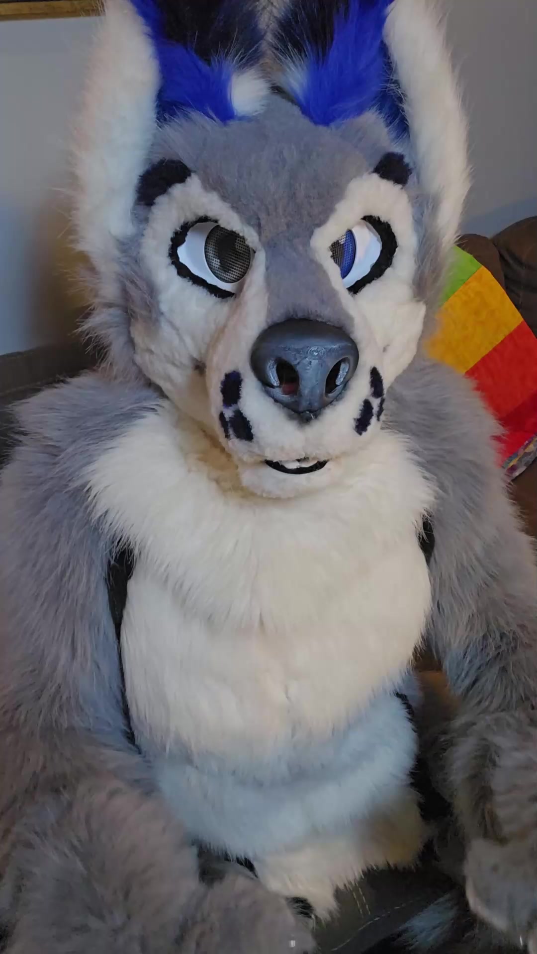 @muttsi
