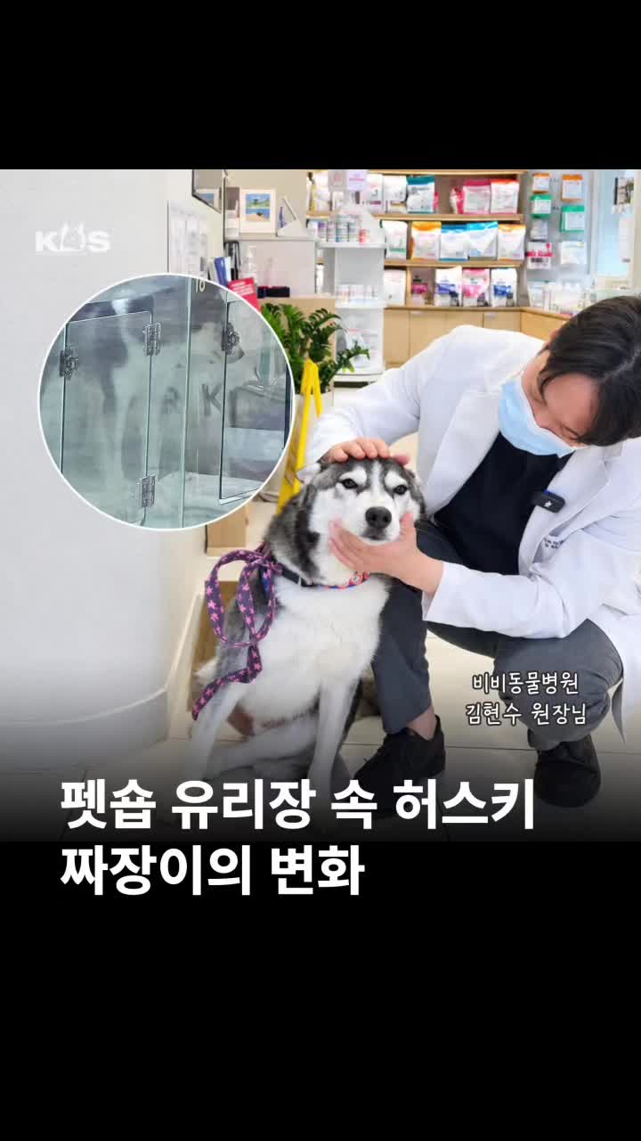 @🐶🐶엄지맘🐕&zwj;🦺🦮🐩