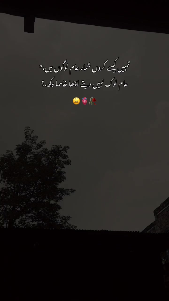 @>پاگل ہو <🦋