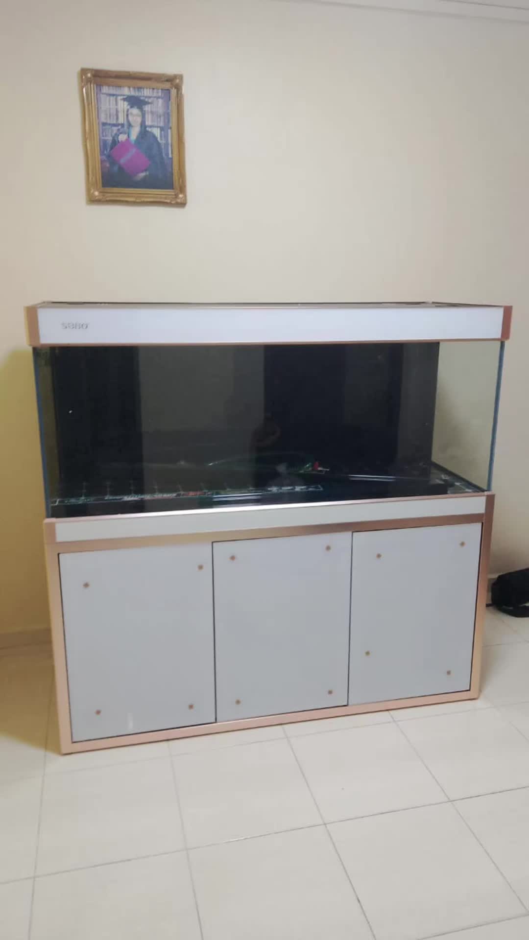 @Pearl Aquatics