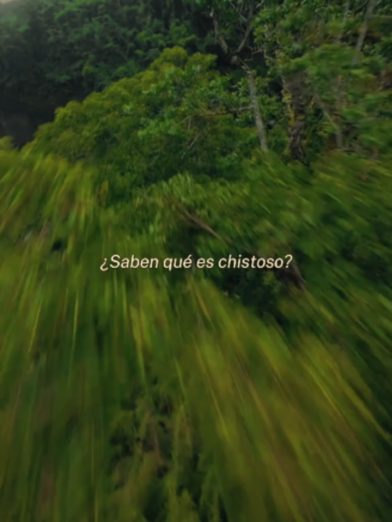 @Sanando a tu ex