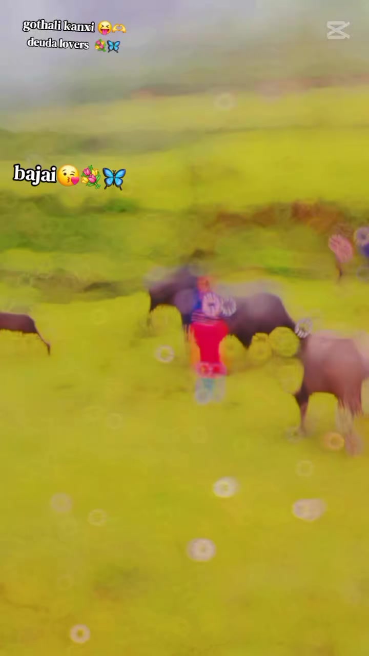 @🦋 Xettr&icirc;&icirc; S&atilde;N&icirc;&icirc; 💐