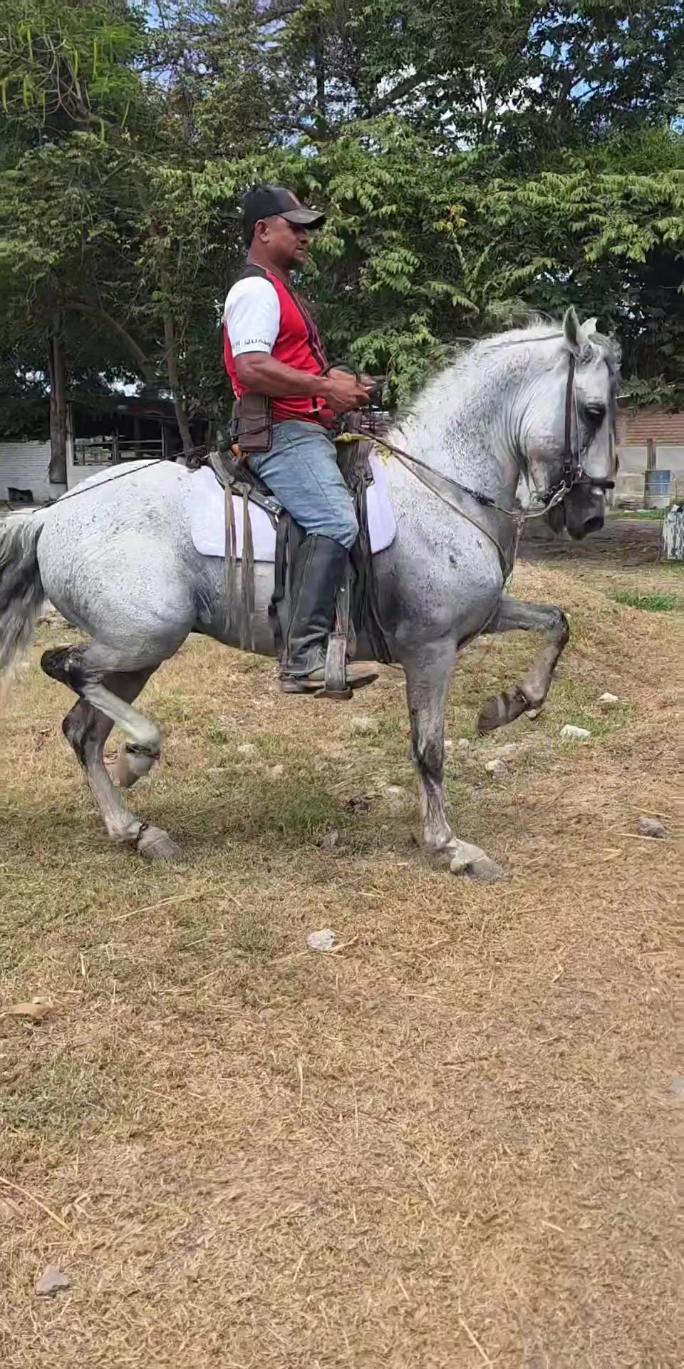 @Jose carlos sierra 😎