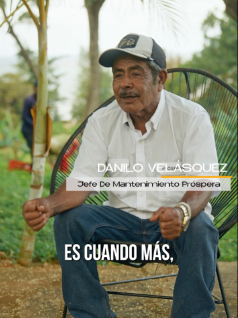 @Próspera Honduras