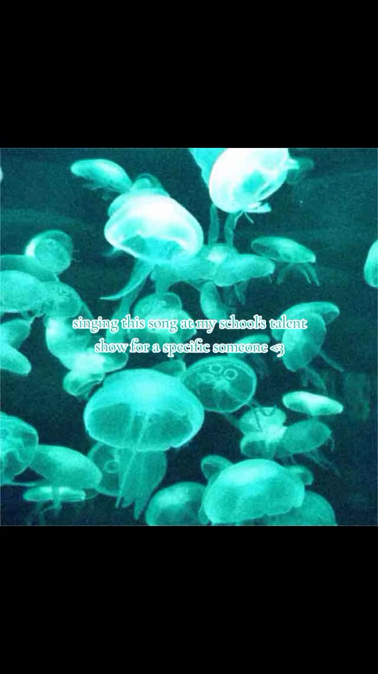 @˃ 𖥦 ˂ . ᒍ. ᴢ𝕖𝚕𝐥ꫀׁׅܻ݊  ٭ 💤