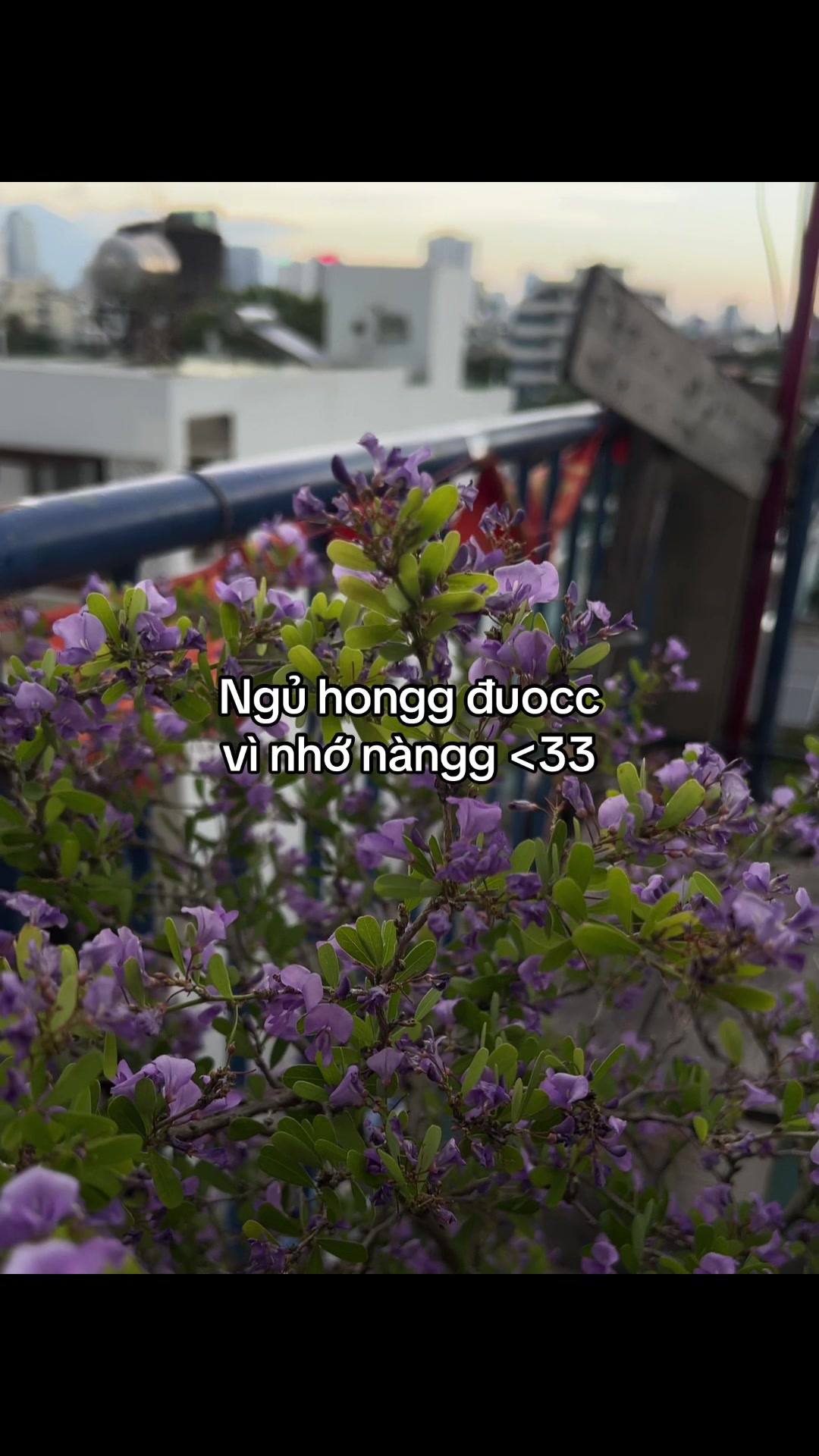 @๐ด๐ ๐ซ๐๐๐๐ ๐ค